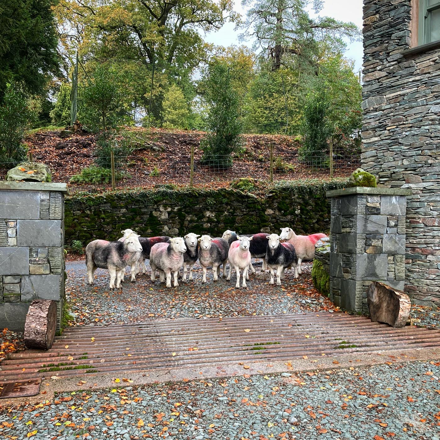 Eltermere Inn Offers The Eltermere Inn Country House Hotel Lake District Ambleside