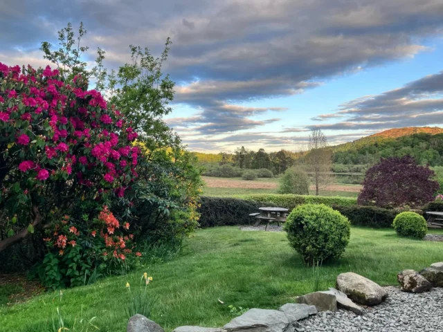 Our Garden Blooming!

#garden #spring #summer #landscape #view #lakes #countryside #flowers #may #wheelwrightscottages #nature #naturelover #unesco #tranquility #cumbria #bankholiday